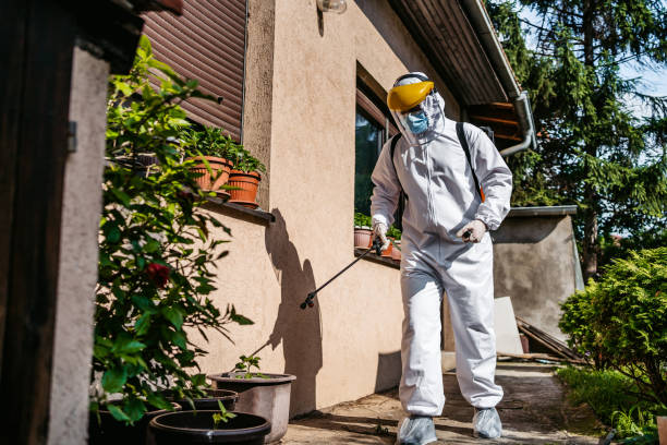 Best Pest Prevention Services  in Stamford, TX