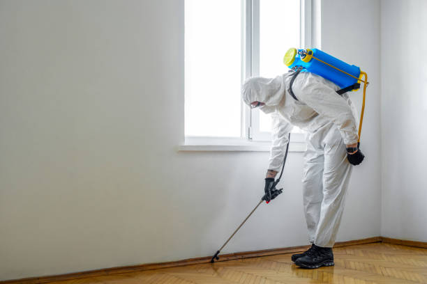 Best Affordable Pest Control Services  in Stamford, TX