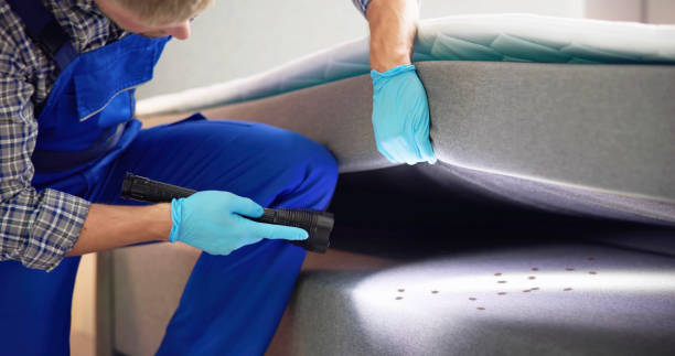 Best Pest Control Near Me  in Stamford, TX