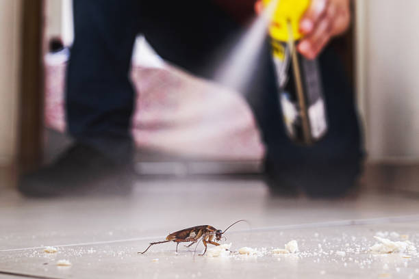 Trusted Stamford, TX Pest Control Experts